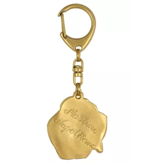 Mâtin napolitain, Mâtin de Naples, Napolitain - porte-clés et collier avec chien dans une boîte, produit plaqué or de haute qualité, marque Art-Dog