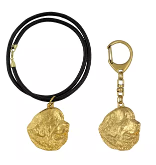 Chien de Terre-neuve, retriever de Terre-Neuve - porte-clés et collier avec chien dans une boîte, produit plaqué or de haute qualité, marque Art-Dog