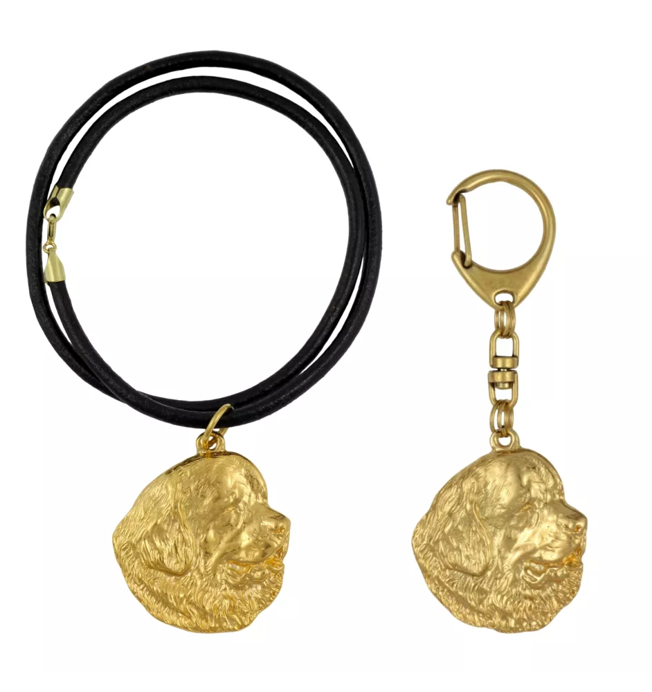 Newfoundland, Newfs, Newfies - keychain and necklace with a dog in a box, high-quality gold-plated product, Art-Dog brand