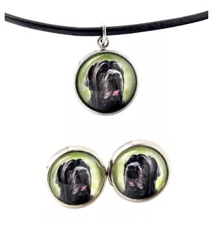 Neapolitan Mastiff, Mastino Napoletano - jewelry with your photo box, set of necklace and earrings, personalized products from the Art-Dog brand
