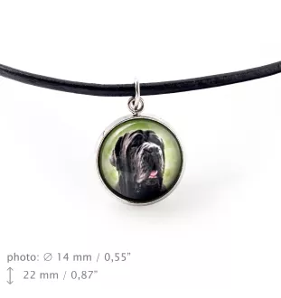 Neapolitan Mastiff, Mastino Napoletano - jewelry with your photo box, set of necklace and earrings, personalized products from the Art-Dog brand