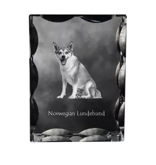 Norwegian Lundehund, Norsk Lundehund - crystal with a picture of a dog, glass statuette with a picture, unique frame with a picture from Art-Dog brand