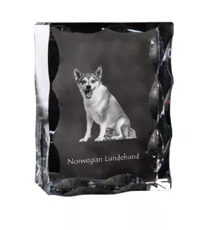 Norwegian Lundehund, Norsk Lundehund - crystal with a picture of a dog, glass statuette with a picture, unique frame with a picture from Art-Dog brand