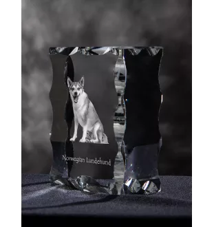 Norsk Lundehund ramka kryształowa z psem Art-Dog