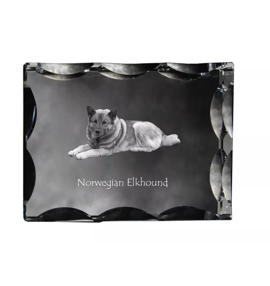 Norwegischer Elchhund, Grahund, Norwegian Elkhound - Kristall mit einem Hundebild, Glasstatuette mit einem Bild, einzigartiger Bilderrahmen der Marke Art-Dog