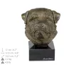 Norfolk Terrier - Dog statue, bust on stone base, sculpture, trophy for dog show by Art-Dog brand