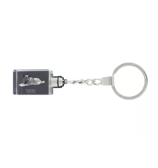 Chien d'élan norvégien - Porte-clés en cristal avec photo de chien, porte-clés lumineux, cadeau unique de la marque Art-Dog