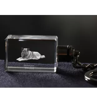 Chien d'élan norvégien - Porte-clés en cristal avec photo de chien, porte-clés lumineux, cadeau unique de la marque Art-Dog