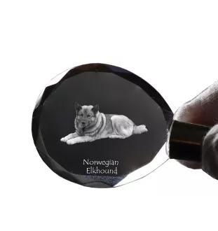 Norwegian Elkhound, Norsk elghund, Gray Norwegian Elkhound - pendant with a photo of a dog, crystal key ring in a gift box, a unique gift by Art-Dog