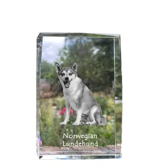Norwegian Lundehund, Norsk Lundehund - crystal with a picture of a dog, photo in glass, modern exhibition of Art-Dog brand photo