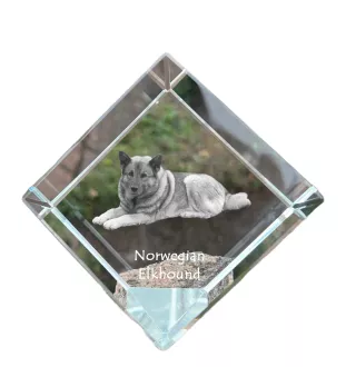 Chien d'élan norvégien - un cube de cristal avec une photo, une photo de cheval dans le cristal, un presse-papiers cubique de la marque Art-Dog