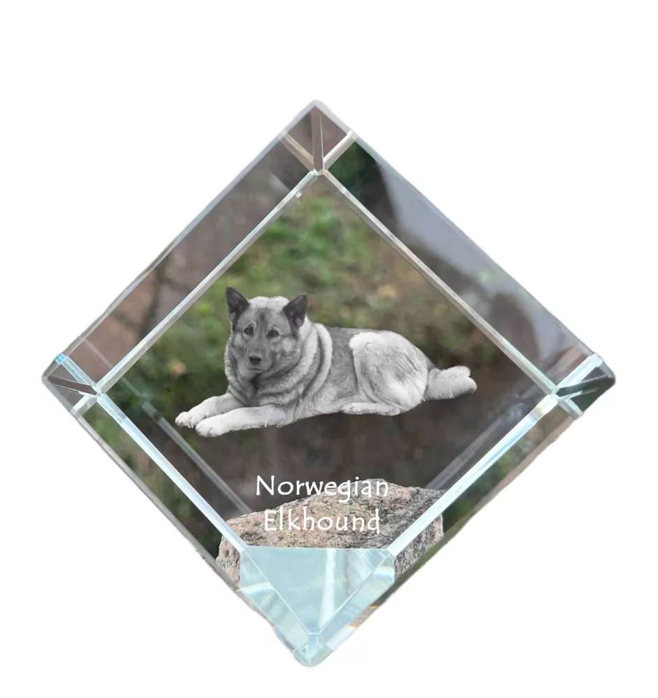 Elkhund kostka kryształowa z psem Art-Dog