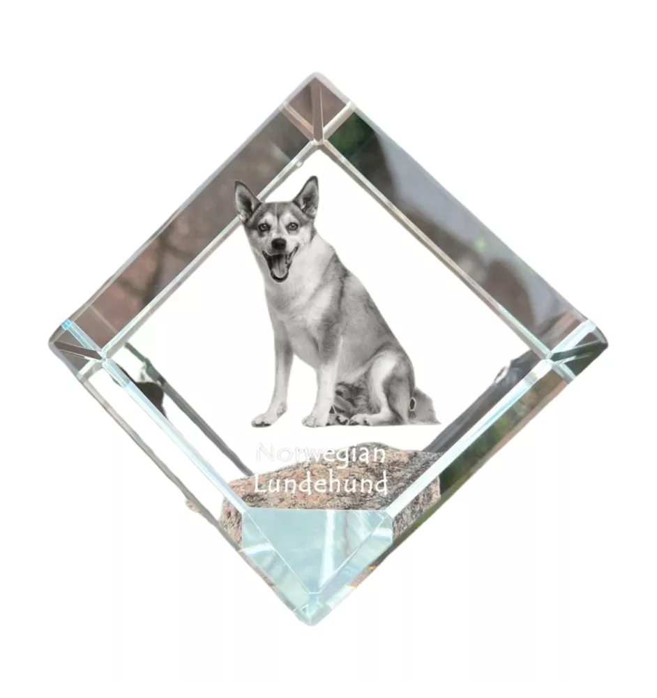 Norwegian Lundehund, Norsk Lundehund - crystal cube with a photo, photo of a horse in crystal, cubic paperweight from Art-Dog brand