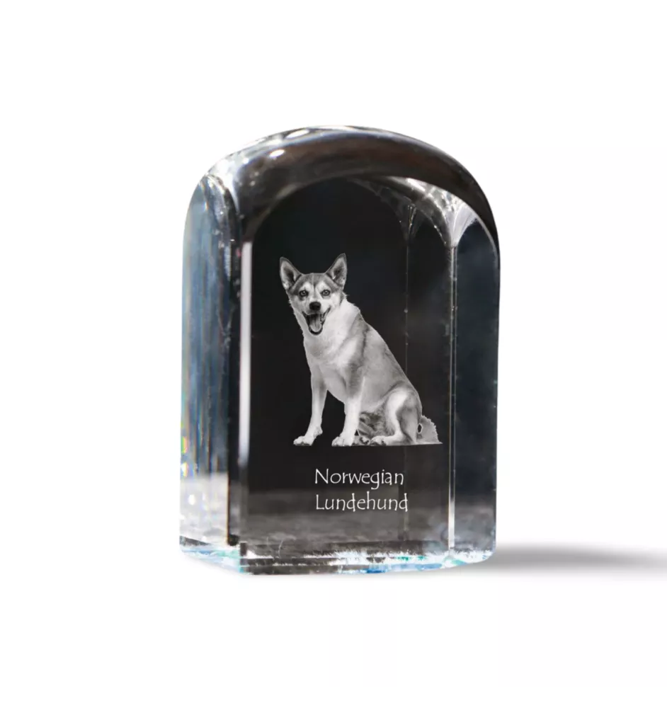Norwegian Lundehund, Norsk Lundehund - crystal cube with a photo, photo of a dog in crystal, cubic paperweight from Art-Dog brand