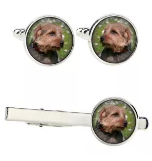 Norfolk Terrier - cufflinks and tie with your photo, a suit decoration, men's jewelry from the Art-Dog brand.