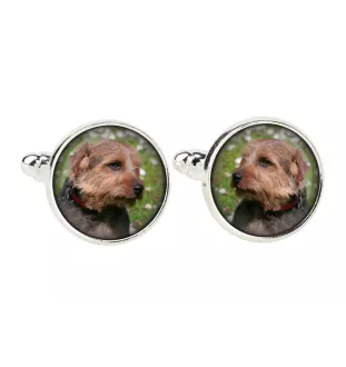 Norfolk Terrier - cufflinks and tie with your photo, a suit decoration, men's jewelry from the Art-Dog brand.