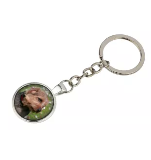 Norfolk Terrier - keychain in a box, own photo, keychain pendant from Art-Dog brand