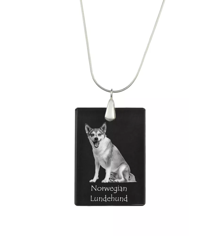 Norwegian Lundehund, Norsk Lundehund - Crystal pendant with dog, silver necklace with photo, personalised pendant by Art-Dog brand