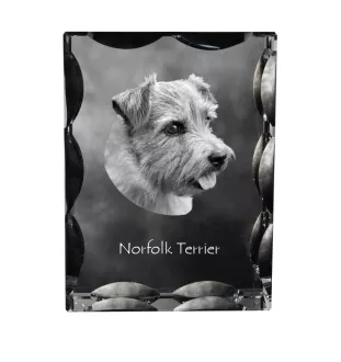 Norfolk Terrier - crystal with a picture of a dog, glass statuette with a picture, unique frame with a picture from Art-Dog brand