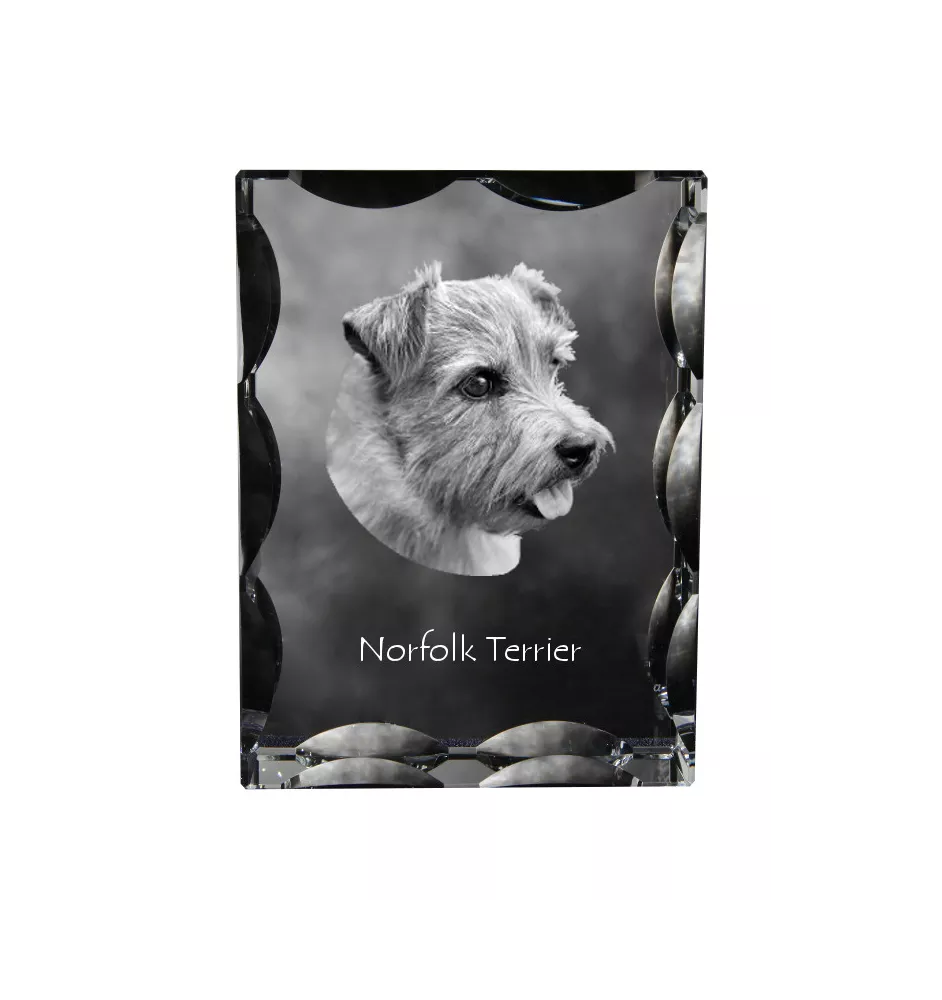 Norfolk Terrier - cristal avec photo de chien, statuette en verre avec photo, cadre exceptionnel avec photo de la marque Art-Dog