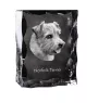 Norfolk Terrier - crystal with a picture of a dog, glass statuette with a picture, unique frame with a picture from Art-Dog brand