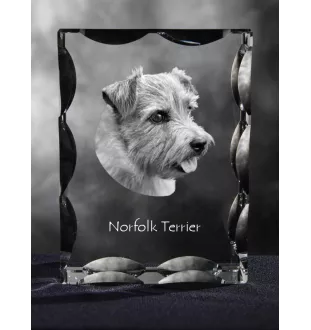 Norfolk Terrier ramka kryształowa z psem Art-Dog