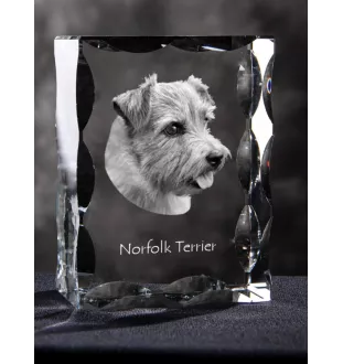 Norfolk Terrier - Kristall mit einem Hundebild, Glasstatuette mit einem Bild, einzigartiger Bilderrahmen der Marke Art-Dog