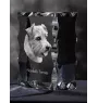 Norfolk Terrier - cristal avec photo de chien, statuette en verre avec photo, cadre exceptionnel avec photo de la marque Art-Dog