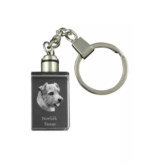 Norfolk Terrier - Porte-clés en cristal avec photo de chien, porte-clés lumineux, cadeau unique de la marque Art-Dog