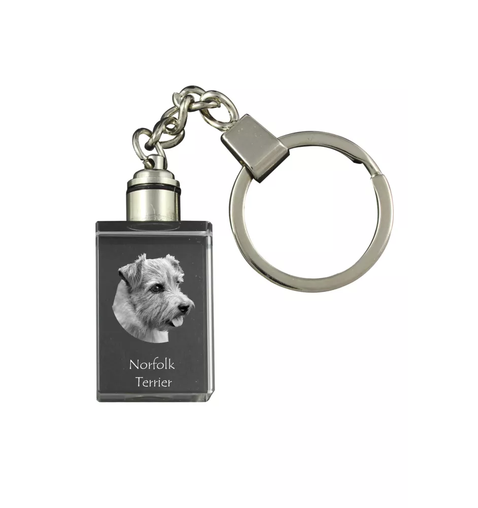 Norfolk Terrier - Crystal key ring with dog photo, illuminated key ring, unique gift by Art-Dog brand