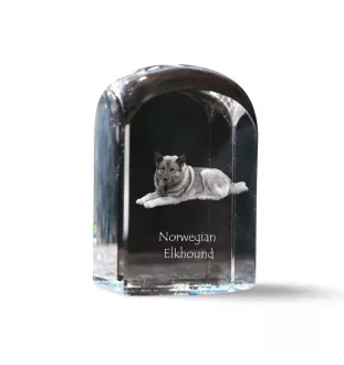 Norwegian Elkhound, Norsk elghund, Gray Norwegian Elkhound - crystal cube with a photo, photo of a dog in crystal, cubic paperweight from Art-Dog brand