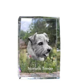 Norfolk Terrier - cristal avec une photo de chien, photo sous verre, exposition moderne de la marque de photos Art-Dog