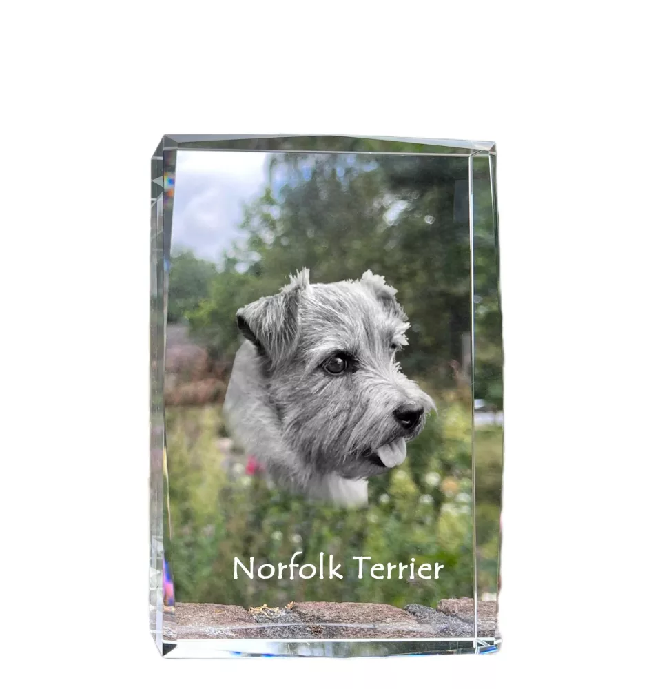 Norfolk Terrier - Kristall mit einem Hundebild, Bild im Glas, moderne Ausstellung des Art-Dog-Bildes.