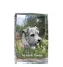 Norfolk Terrier - crystal with a picture of a dog, photo in glass, modern exhibition of Art-Dog brand photo