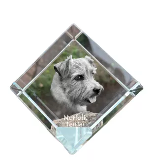 Norfolk Terrier - Kristallwürfel mit Bild, Pferdebild im Kristall, sechseckiger Papierclip der Marke Art-Dog