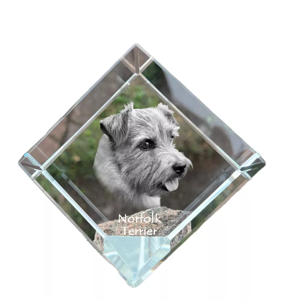 Norfolk Terrier - crystal cube with a photo, photo of a horse in crystal, cubic paperweight from Art-Dog brand