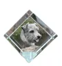 Norfolk Terrier - Kristallwürfel mit Bild, Pferdebild im Kristall, sechseckiger Papierclip der Marke Art-Dog