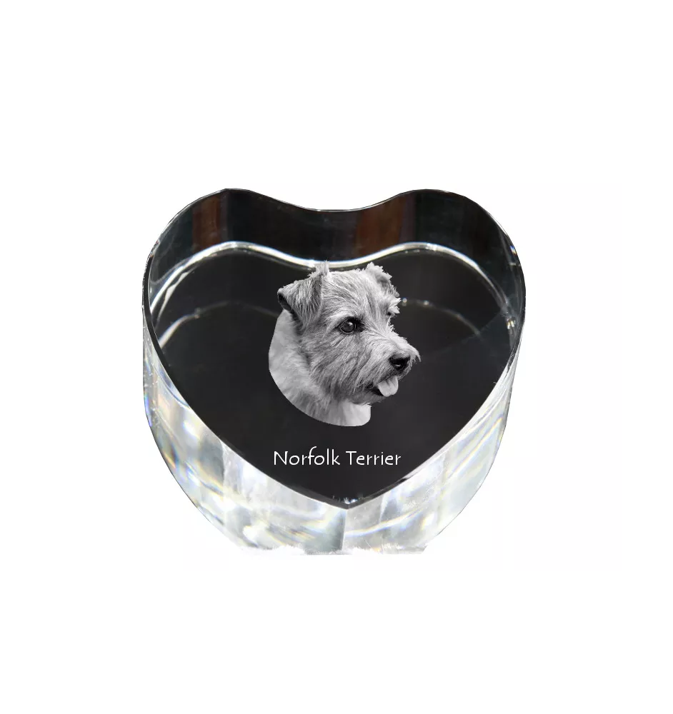 Norfolk Terrier - a photo of a dog in crystal, crystal heart, unique photo frame from the Art-Dog brand
