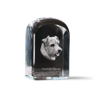 Norfolk Terrier - crystal cube with a photo, photo of a dog in crystal, cubic paperweight from Art-Dog brand