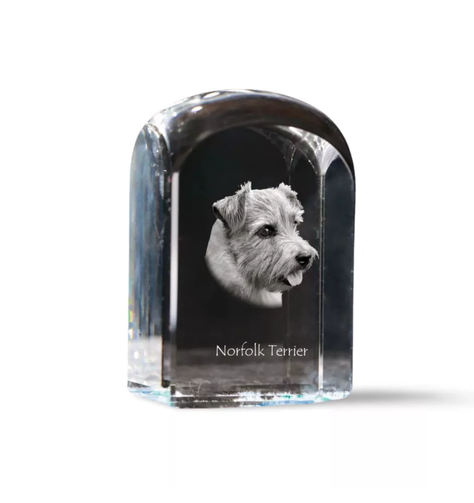 Norfolk Terrier - crystal cube with a photo, photo of a dog in crystal, cubic paperweight from Art-Dog brand