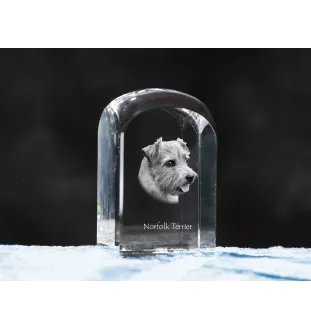 Norfolk Terrier - crystal cube with a photo, photo of a dog in crystal, cubic paperweight from Art-Dog brand