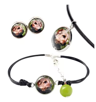 Norfolk Terrier - Schmuckset in einer Schachtel, Halskette, Ohrringe, Armband, Produkte der Marke Art-Dog