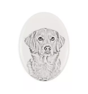 Nova Scotia Duck Tolling Retriever, Toller - Gedenktafel mit einem Foto eines Hundes, Grabplatte mit Druck, personalisierte ovale Platte der Marke Art-Dog