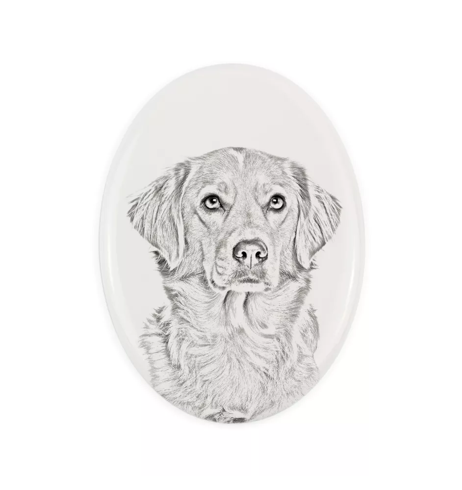 Retriever de la Nouvelle-Écosse, Nova Scotia Duck Tolling Retriever - une plaque commémorative avec une photo de chien, une plaque funéraire avec une impression, une plaque ovale personnalisée de la m