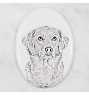 Retriever de la Nouvelle-Écosse, Nova Scotia Duck Tolling Retriever - une plaque commémorative avec une photo de chien, une plaque funéraire avec une impression, une plaque ovale personnalisée de la m