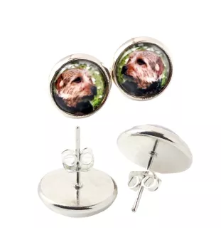 Norfolk Terrier - earrings in a box, your photo, handmade jewelry, a product of the Art-Dog brand