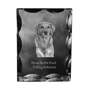Nova Scotia Duck Tolling Retriever, Yarmouth Toller - crystal with a picture of a dog, glass statuette with a picture, unique frame with a picture from Art-Dog brand