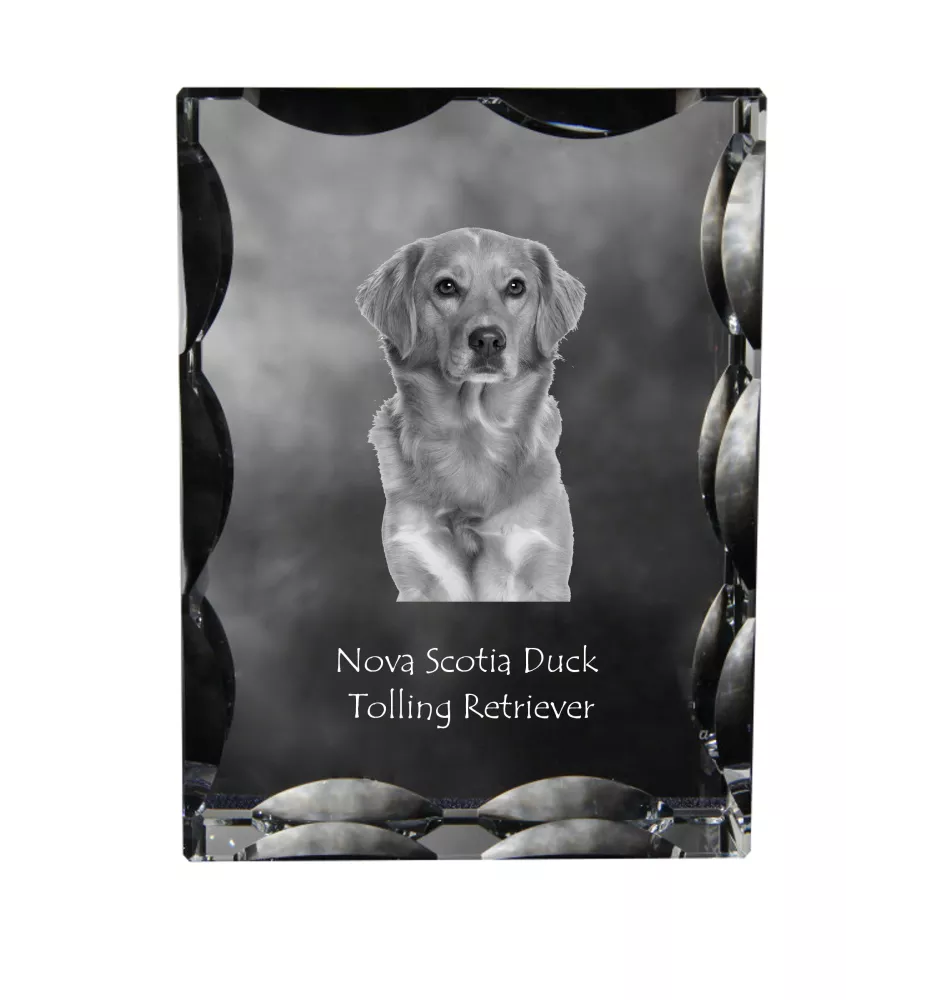 Retriever de la Nouvelle-Écosse, Nova Scotia Duck Tolling Retriever - cristal avec photo de chien, statuette en verre avec photo, cadre exceptionnel avec photo de la marque Art-Dog