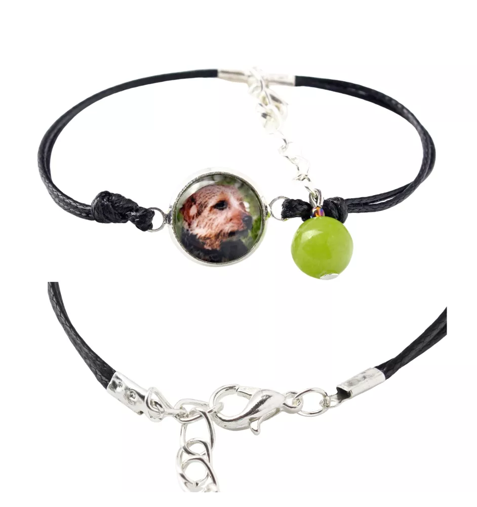 Norfolk Terrier - bracelet dans une boîte avec votre photo, bijoux féminins, cadeau parfait de la marque Art-Dog