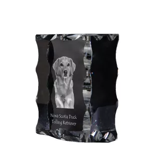 Retriever z Nowej Szkocji ramka kryształowa z psem Art-Dog